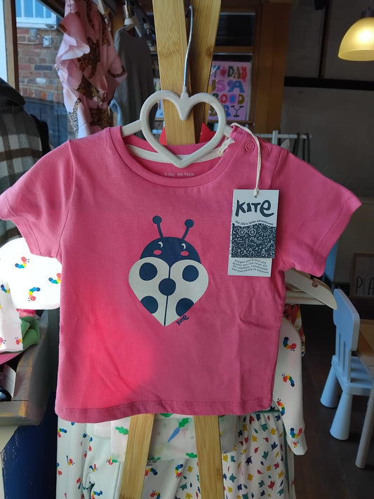 Ladybug Tshirt