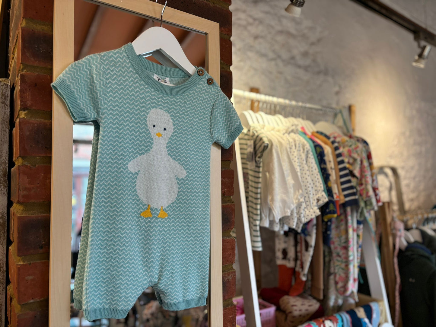Blue Goose Onesie
